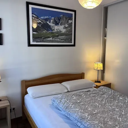 T2 Cosy Avec Parking Et Cellier A Skis A - Fr-1-812-19 *